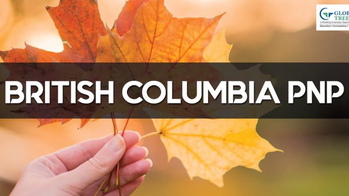 BCPNP新政策，幼教，成为移民职业新宠！